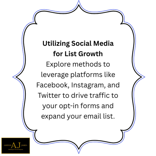 How To Build Email Lists | Email Marketing | Automated Lead Generation